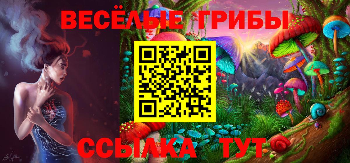 Галлюциногенные грибы ЛСД  Вход с VPN  Коломна  Галлюциногенные грибы GOLDEN TEACHER 
