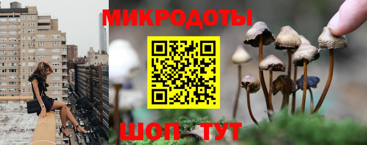 Псилоцибиновые грибы мухоморы Коломна